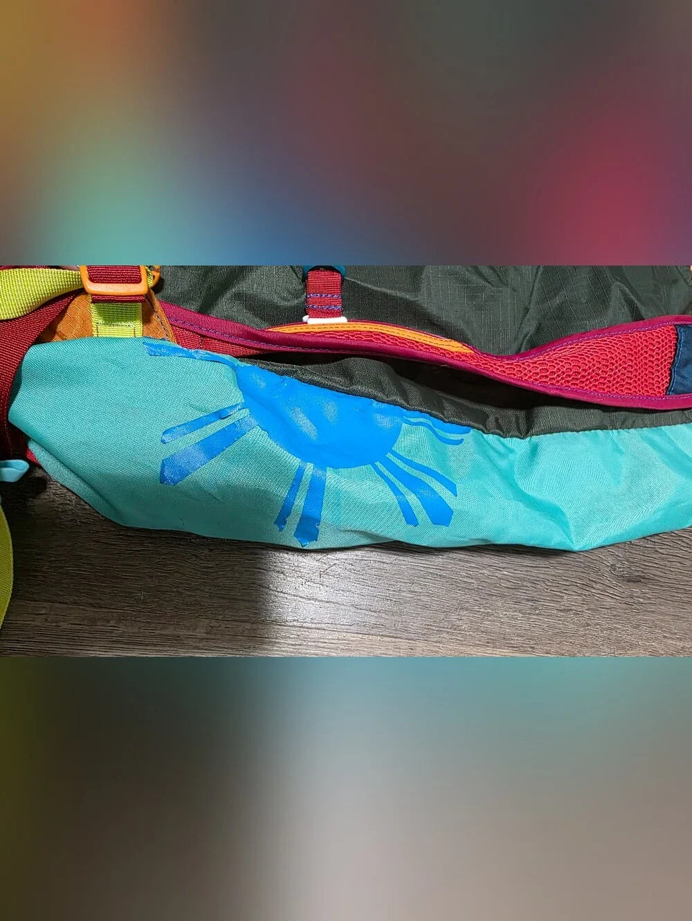 Cotopaxi Luzon Eighteen Multicolor Hiking Backpack